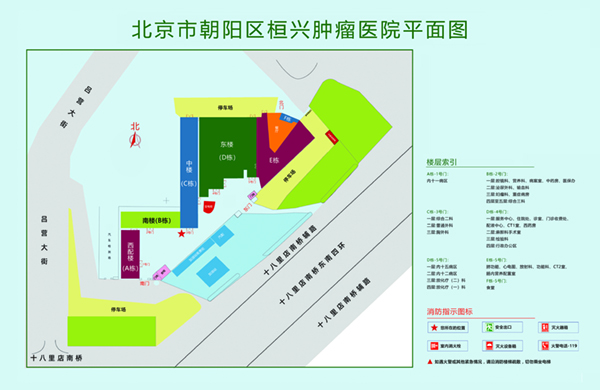 操逼学生妹视频北京市朝阳区桓兴肿瘤医院平面图